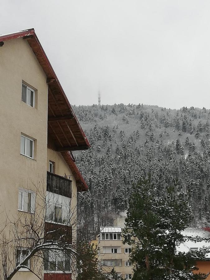 Rustic&Romantic Apartment Brașov Exterior foto